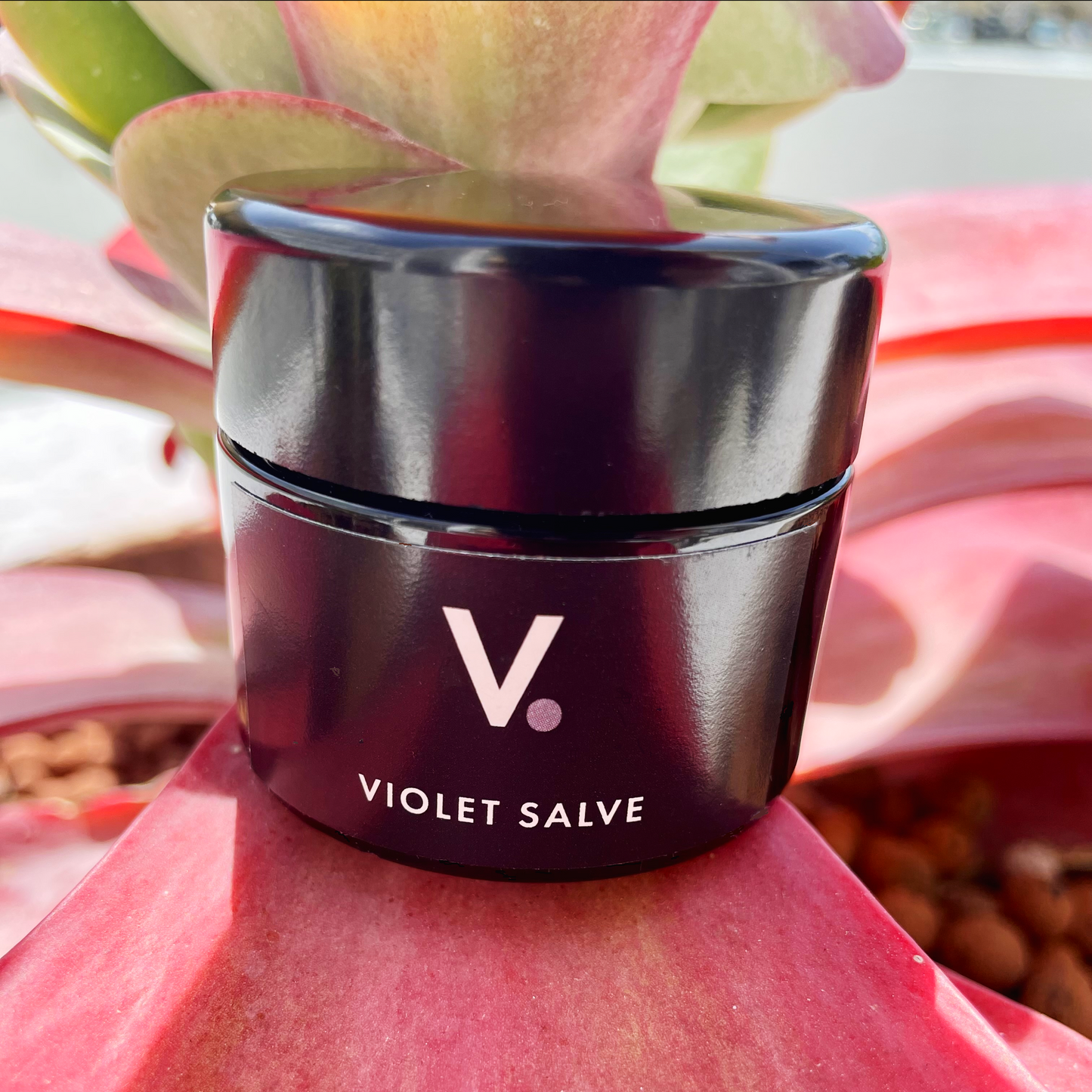  "Experience the Natural Power of Violet Salve - Your Solution for Healthy and Beautiful Skin!"